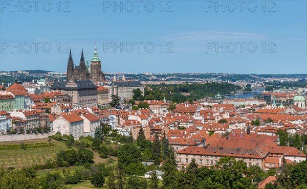 View from Petrin Park to St Vitus Cathedral and Prague Castle