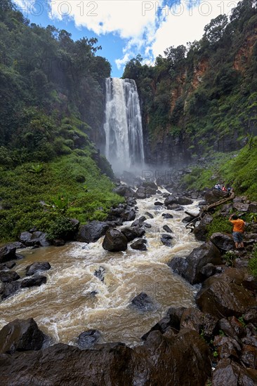 Thomson's Falls