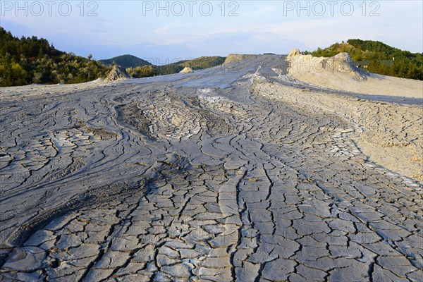 Dried sludge