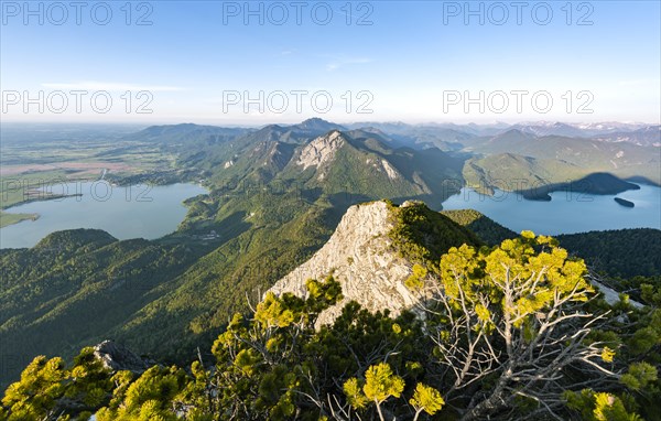 Mountain panorama