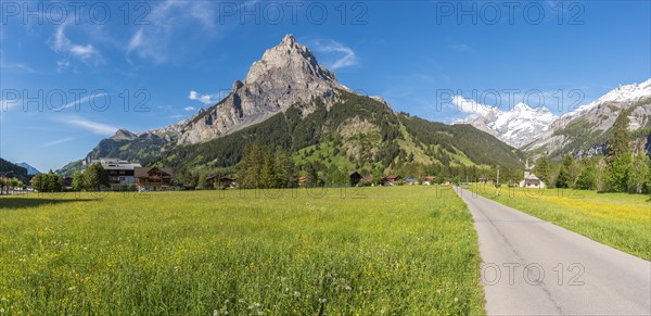 Landscape with the Bire