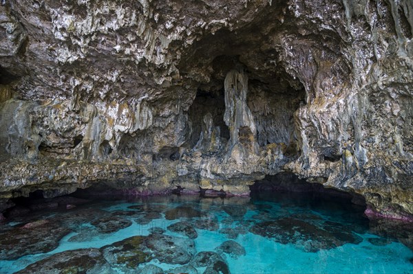 Avaiki rock tide pools