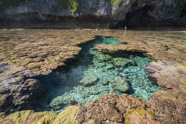 Avaiki rock tide pools