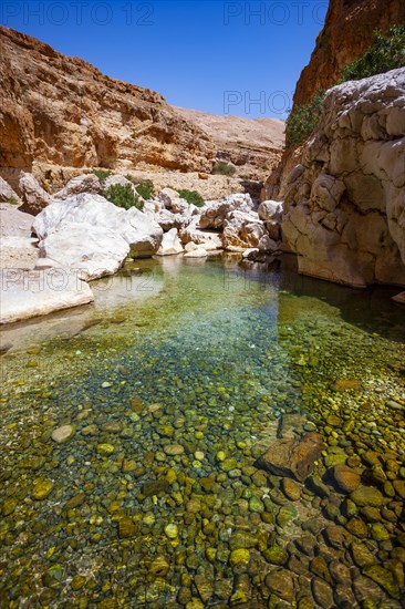 Freshwater pool