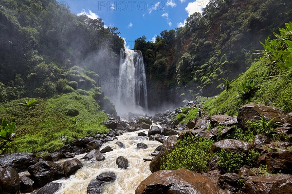 Thomson's Falls