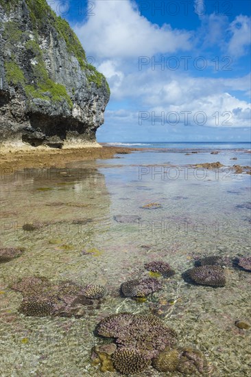 Avaiki rock tide pools