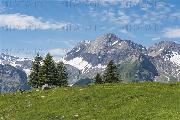 Mountain landscape with the summit of Grosser Lohner