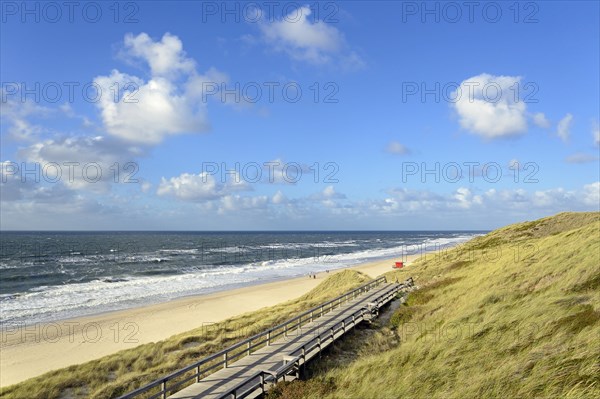 Boarded footpath leads through the dunes