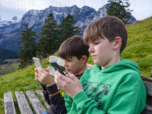 Two boys in nature are immersed in their smartphone