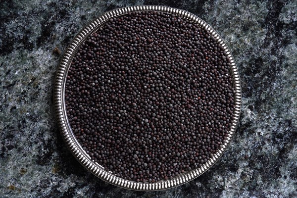 Black mustard seeds