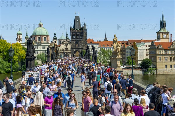 Crowd on the Charles Bridge