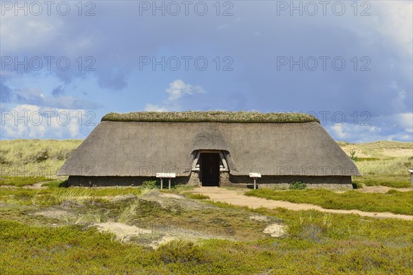 Reconstructed Iron Age House