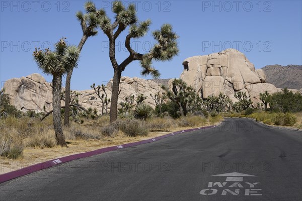 Road in Rocky Landscape