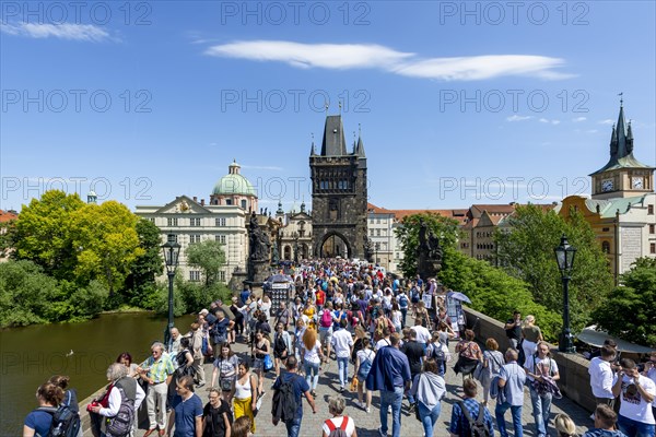 Crowd on the Charles Bridge