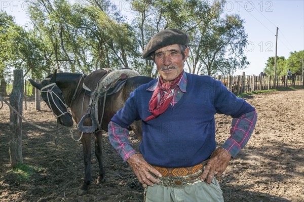 Gaucho