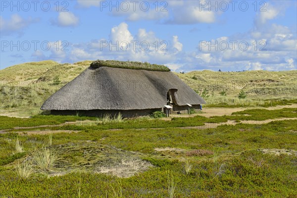 Reconstructed Iron Age House