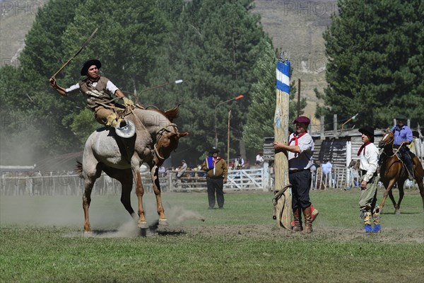 Rider on a bucking horse at the Rodeo