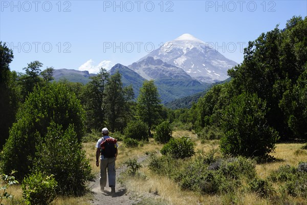 Tourist hikes in front of Lanin Volcano