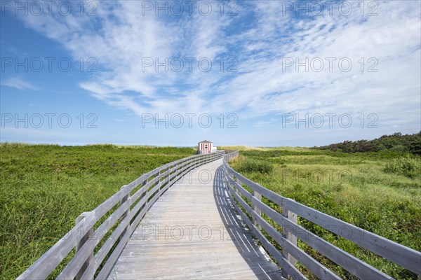 Wooden footbridge on dune trail