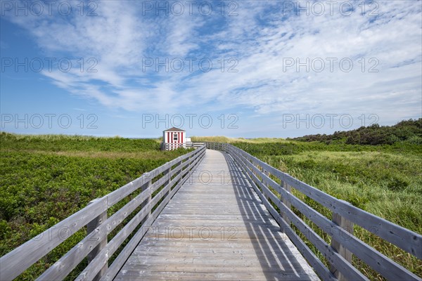 Wooden footbridge on dune trail
