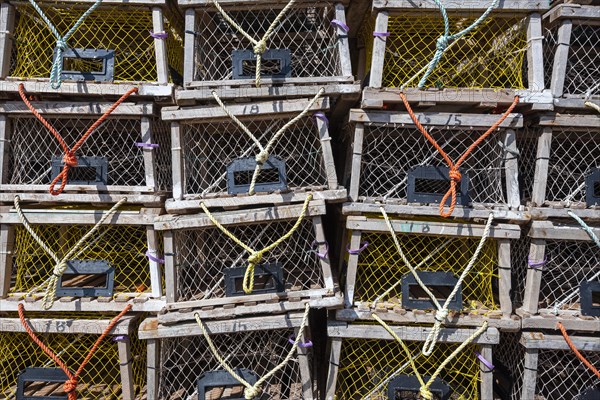 Lobster traps