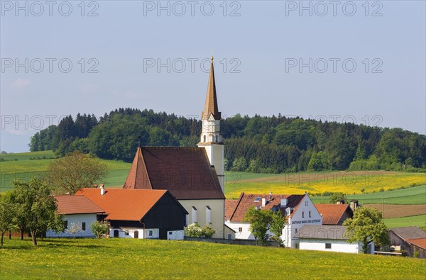 Pilgrimage church Maria vom guten Rat
