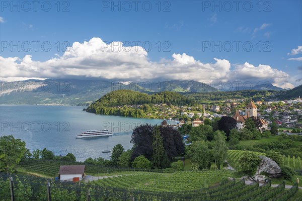 Castle Spiez on Lake Thun