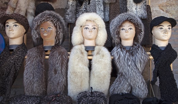 Mannequins with fur caps