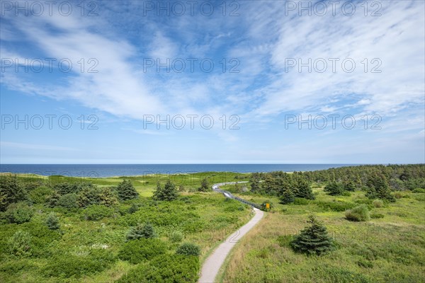 Dune Trail