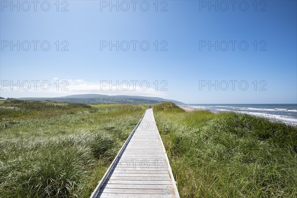 Wooden jetty through dune landscape