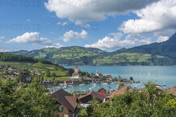 Lake Thun with townscape of Spiez