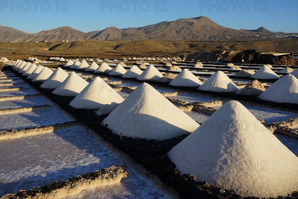 Salt extraction