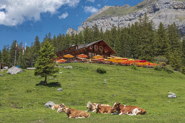 Mountain lodge Oeschinensee at Oeschinensee