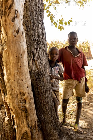 Two native boys stand next to tree trunk