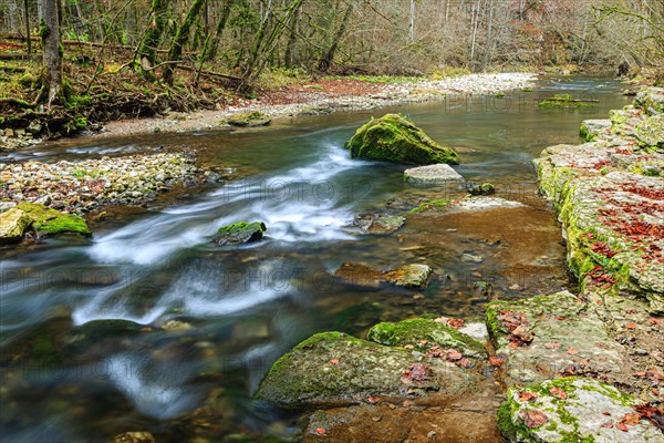 River Wutach in the Wutach Gorge