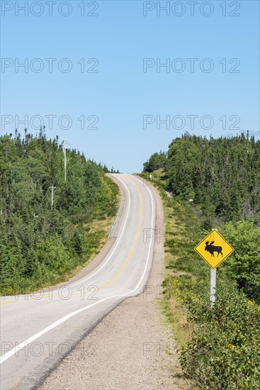 Road sign warns of crossing moose