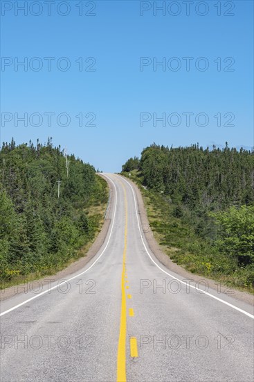 Panoramic Road