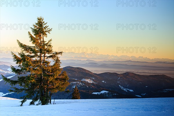 Evening atmosphere at the wintery summit of the Belchen at sunset