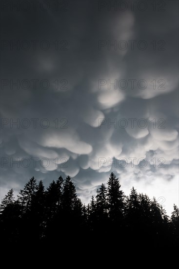 Mammoth clouds