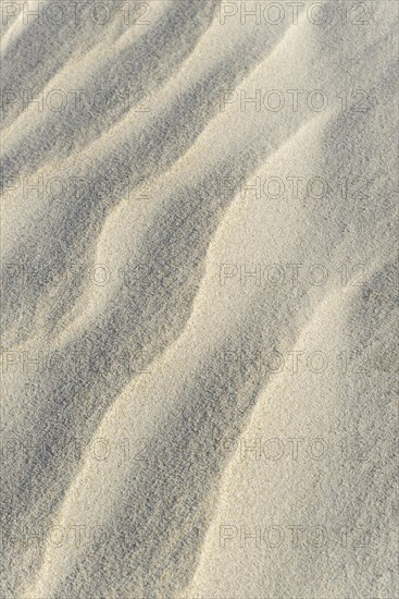 Sand drifts