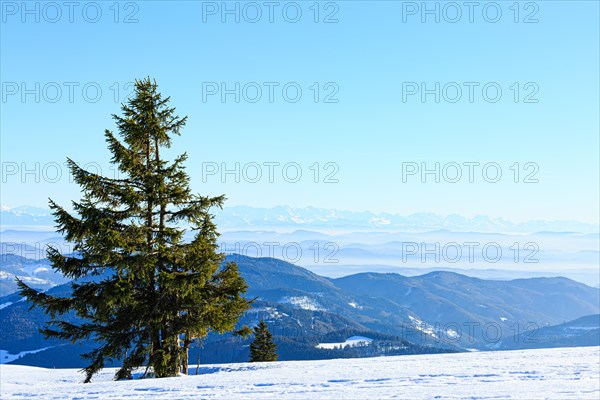 View from the snow-covered summit of the Belchen to mountain ranges and alpine chain Black Forest