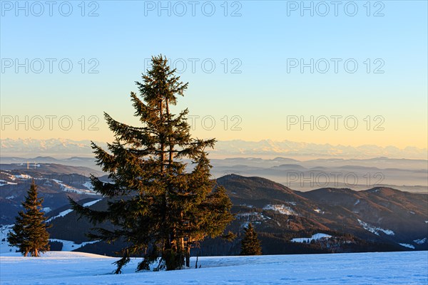 Evening atmosphere at the wintery summit of the Belchen at sunset