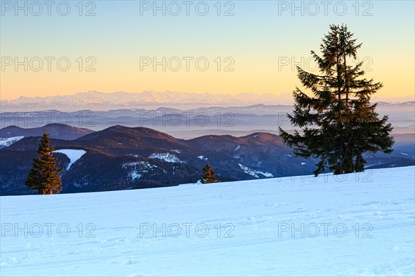 Evening atmosphere at the wintery summit of the Belchen at sunset