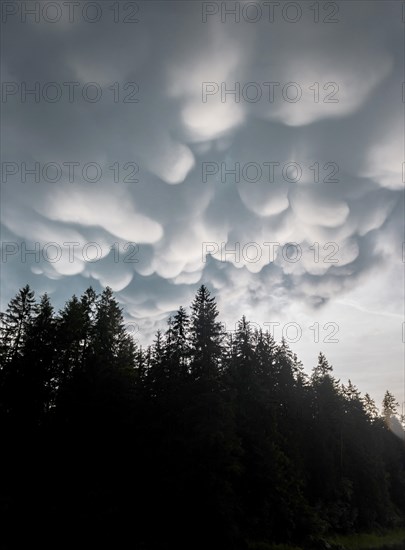 Mammoth clouds