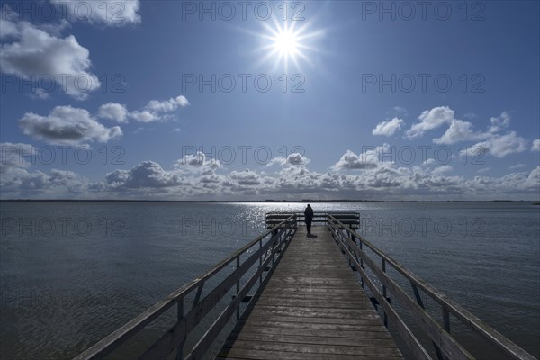 Pier at the Bodden in backlight