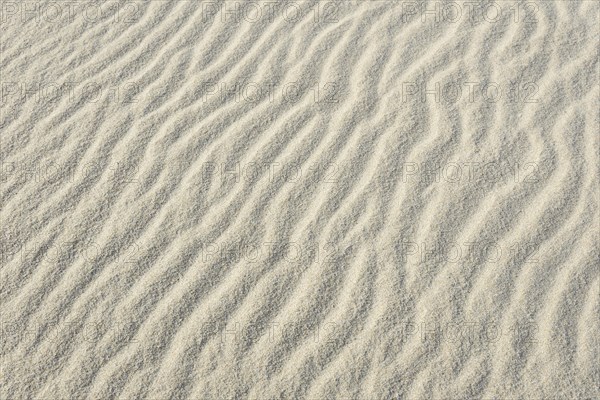 Sand drifts