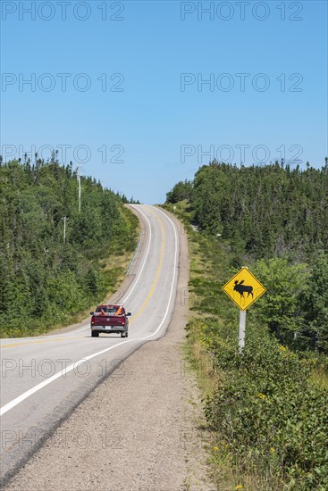 Road sign warns of crossing moose