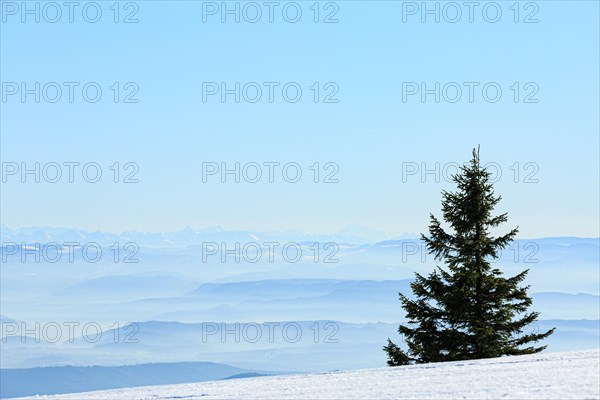 View from the snow-covered summit of the Belchen to mountain ranges and alpine chain Black Forest