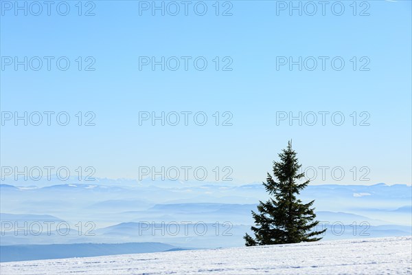 View from the snow-covered summit of the Belchen to mountain ranges and alpine chain Black Forest