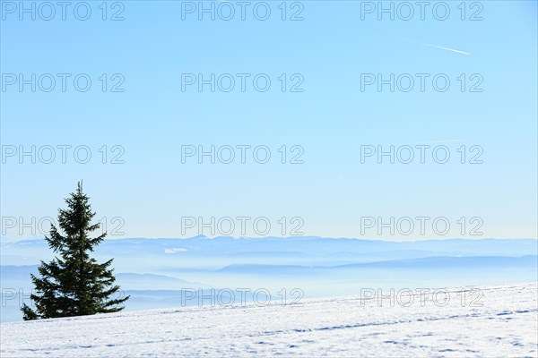 View from the snow-covered summit of the Belchen to mountain ranges and alpine chain Black Forest